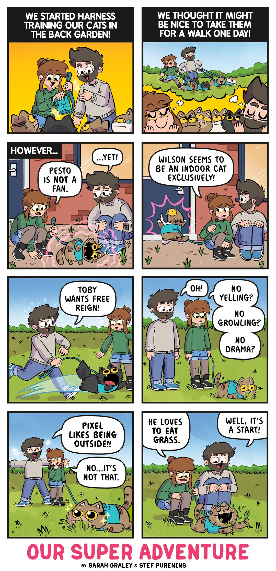 Harnessing the Cats! (June 9th, 2025)