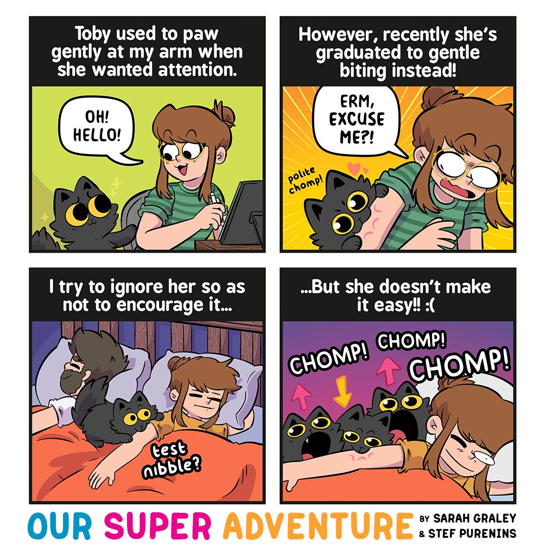 Our Chompy Cat! (September 22nd, 2025)