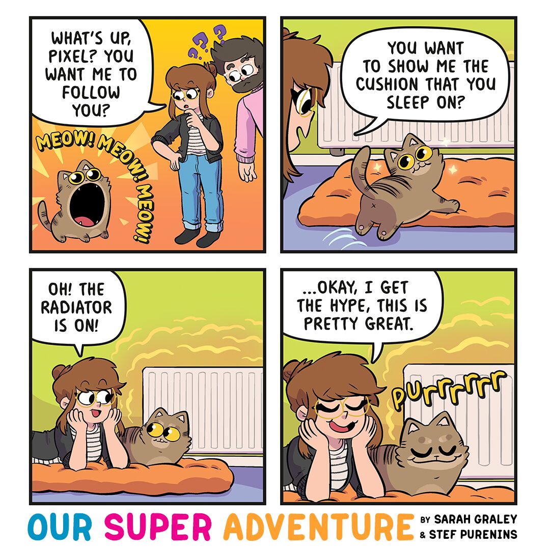 Cat Show and Tell (January 5th, 2026)