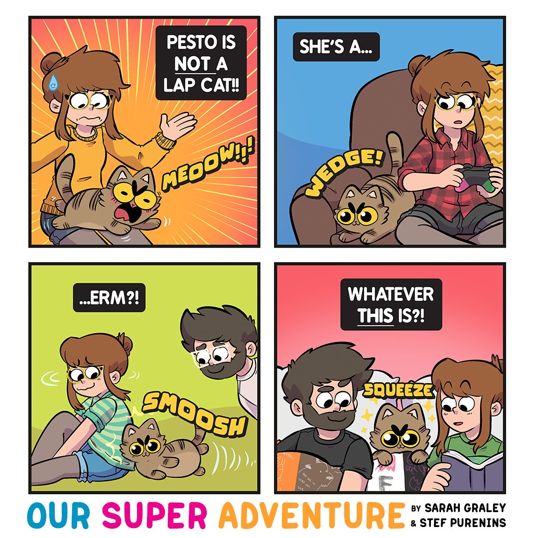 Pesto is NOT a lap cat! (February 2nd, 2026)