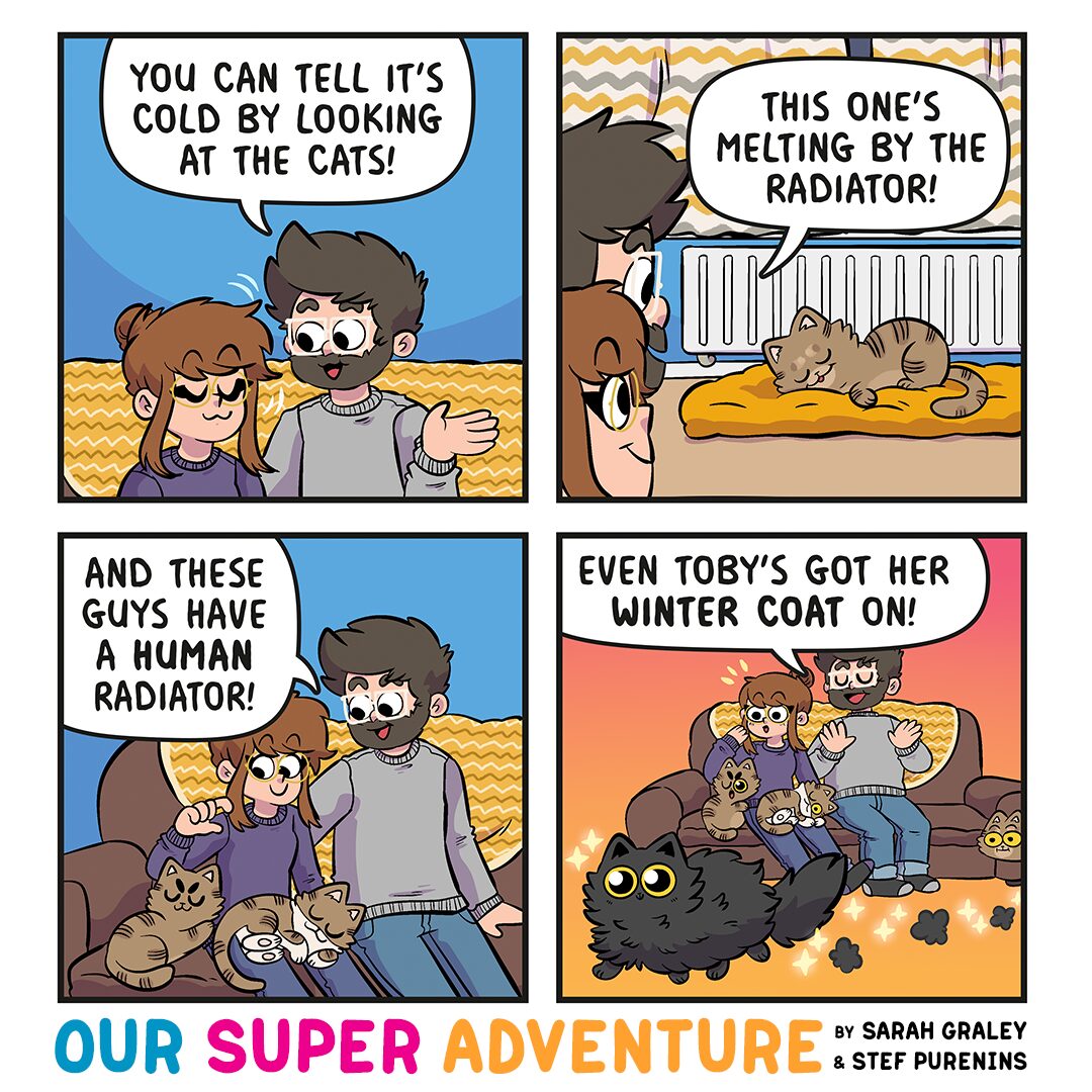 Winter Cats! (March 9th, 2026)