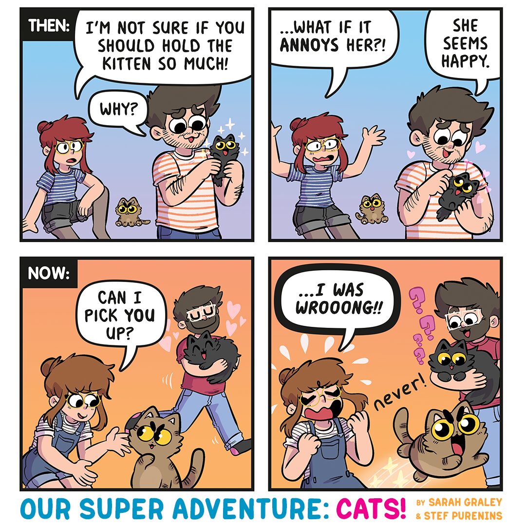 Picking Up Kittens! (May 25th, 2026)