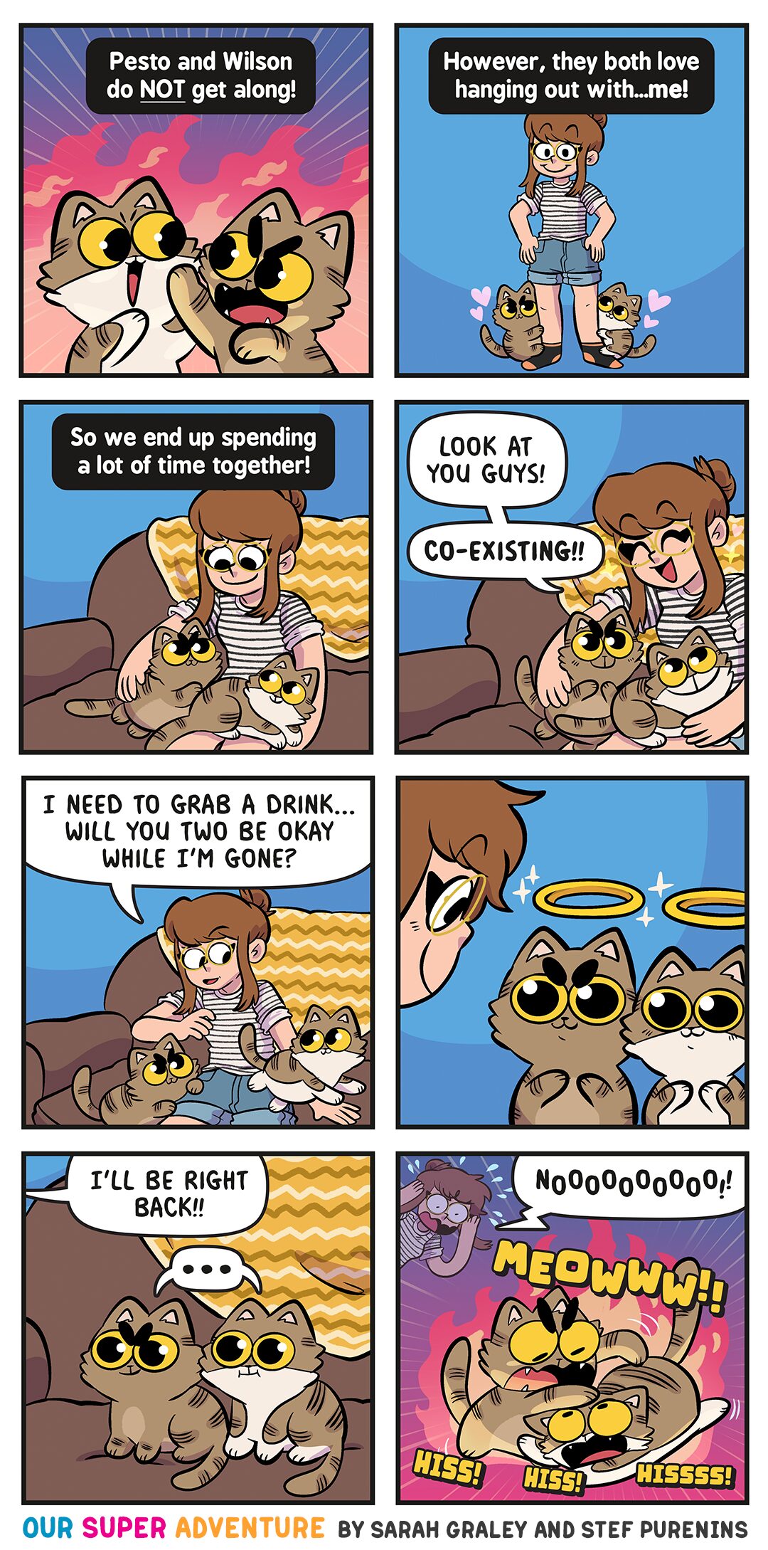 Cat Enemies to Friends? (June 29th, 2026)