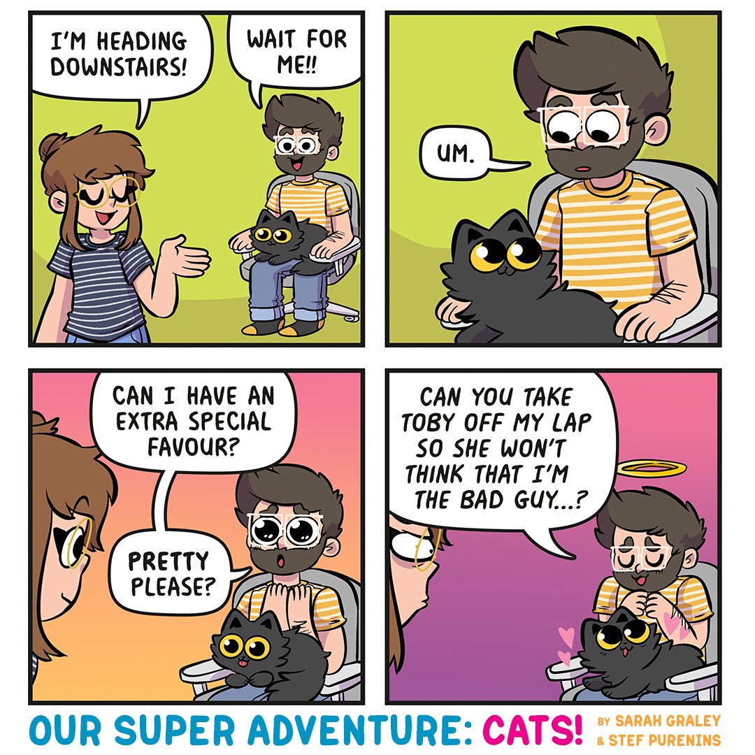 Special Cat Favour (July 6th, 2026)