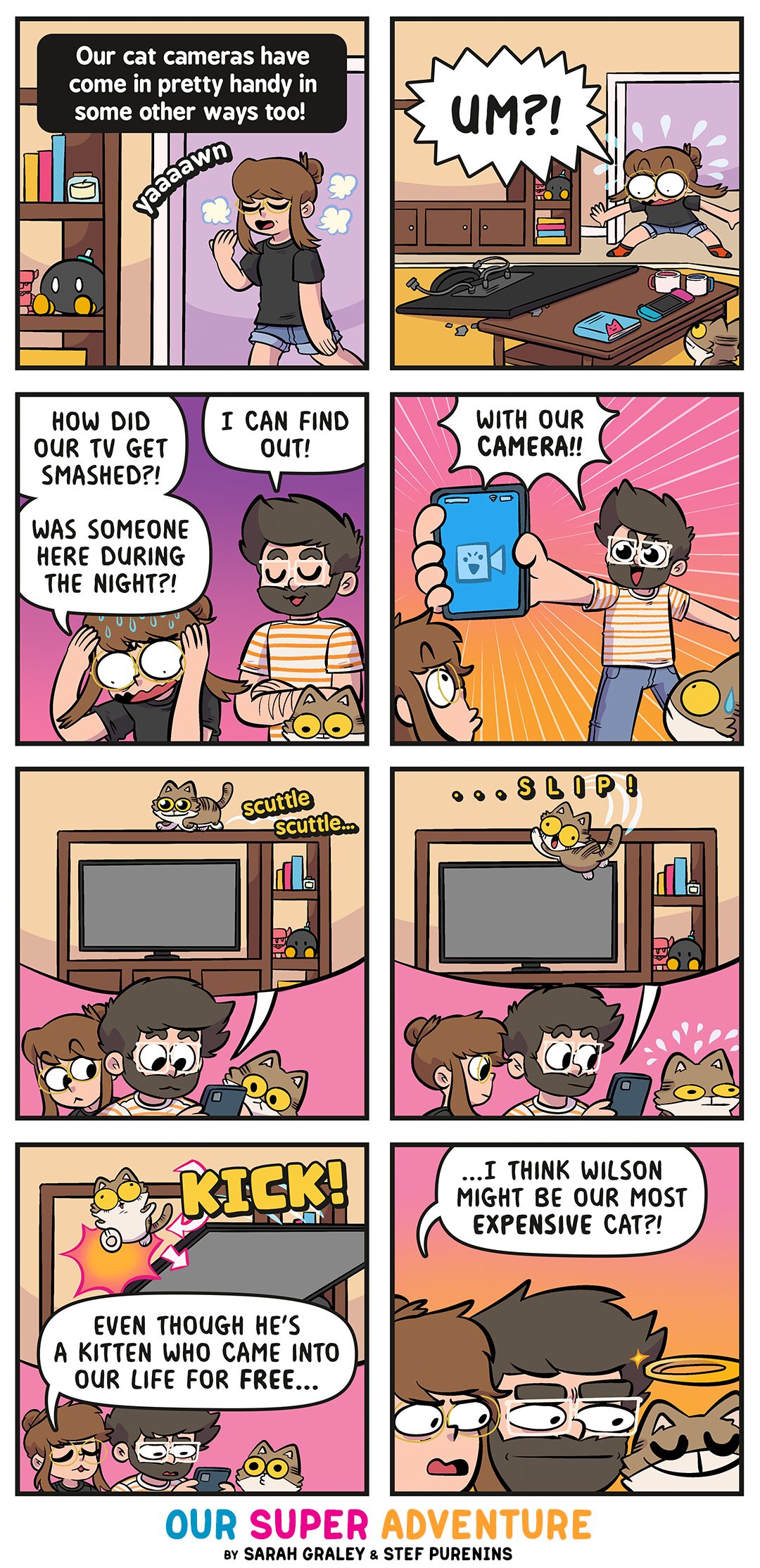 Cat Cam CRIME! (August 3rd, 2026)