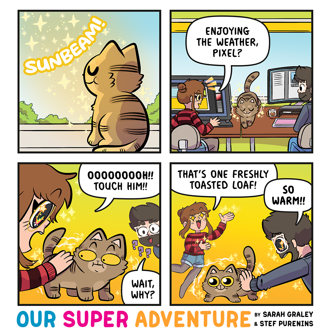 Sunbeam Cat! (September 7th, 2026)